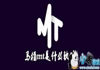 ��Ͱmt��ʲô-��Ͱmt��ʲô����
