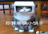 ����������������-��������������������