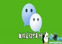 ΢��֧������ʲô-΢��֧�����Ǹ����