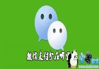 ΢��֧���������￴-΢��֧������ô��