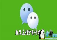 ΢��֧������ʲô��-΢��֧��������