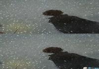 ����Ψ��ƴ�ӱ�ֽ-����Ψ��ƴ�ӱ�ֽ����