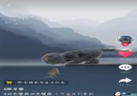 �����߲�è�������ֻ���̬��ֽ-����è�������ֻ���̬��ֽ����