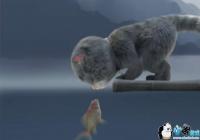 �����߲�è��������Ƶ-����è��������Ƶ