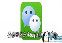 ΢�Ż�Ӧ����bug����ô����-΢�Ż�Ӧ����bug