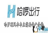 ����˳�糵������Ҫʲô����-����˳�糵��������