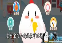 ֧������С����װ���Ե�ʲô����-֧������С����װ���Լ�����