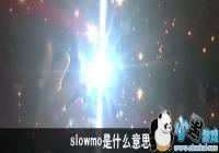slowmo��ʲô��˼-����slomo��ʲô��˼