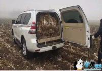 �����ó�����ʳ�����-�����ó�����ʳ���������