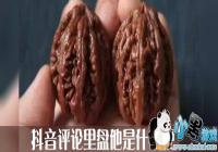 ������ʲô��-����������������ʲô��˼