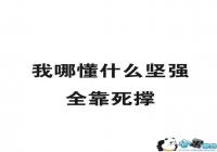 ������������Ȧ����-������������Ȧ��������