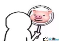 �������ͷ��-ɵɵ��ͷ������