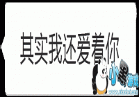 ������Ӧ�����ֻ���ʧ�ı����-�ظ������ֻ���ʧ�ı����