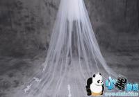 ������ô����Ƭ��ͷɴ-������Ƭͷɴ