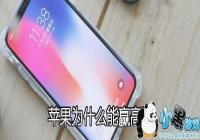 ƻ��Ӯ�˸�ͨר�����ϰ���˾ԭ����ʲô-ƻ��Ϊʲô��Ӯ��ͨ