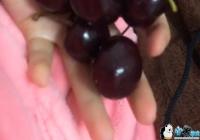 ������������������ʲô��-������������������ʲô��˼