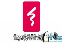 finger������ʲô����-finger�����Ǹ����