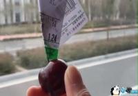 ������������ʲô��-������������ʲô��˼