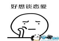 ��������̸���������Ҷ�������-����̸���������Ҷ�����������