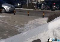 ���������µ���ĭ������ʲô��ɫ��ʲô��-���������µ���ĭ��ʲô��ɫʲô��˼