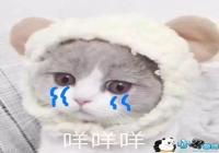 ����Ϊʲô��������Ϣ�����-����Ϊʲô��������Ϣ���Ա���