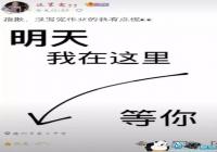 �������������������ͼƬ-�����������������������