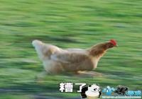 ���������˾Ϳ쿪ѧ�˱����-��ҵ��ûд�ʻ�û��ͷ����û�������