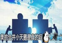 ���ĺϲ�С����������-����Ϊʲô�ϲ�С���