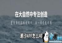 ��ϫAPP��ô��-��ϫAPP������