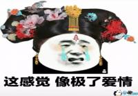 ������о����˰�������-��èͷ���ӱ����