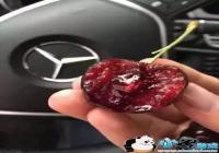 ��������Ȧװ��ͼƬ-����Ȧװ�Ʊ��������