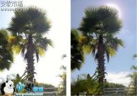 HDR��UHD������ʲô��ͬ  HDR��UHD��������