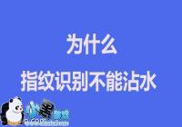 ʪ�ֿ��Խ���ָ��ʶ���� Ϊʲôմˮ���޷�����ָ��ʶ����֤