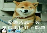 ����˧������������������Щ˦��ͷ��ЧAPP