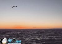 �����⼸�� ��Ҳ�ܳ�Ϊ�ֻ���Ӱ��ʦ