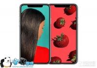 �ʣ�IPHONE X��ô�ػ���