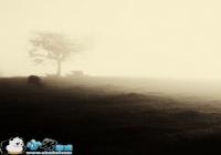 ɶ�춼�Ѳ����ң��ֻ�������Ҳ���ĳ�����