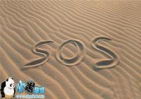 �ֻ�δ����SIM��ʱ�ܹ���������绰������