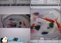 ��¼������ʲô ��ҫ7��¼���Ź���ȫ�����