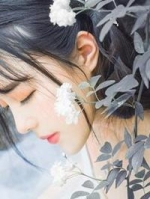 �鲻�ɲ��ܲ�׷���е�æ