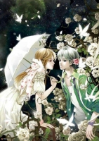 ����Ҷ���С˵