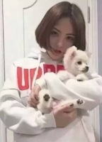 �����Ϲ������