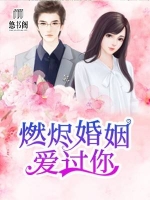 ȼ������������