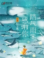 ��վ��������