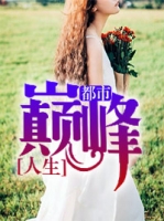 �����۷�����