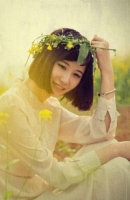 ǿ�ƽ��޷��ٱ���