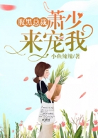 �����ܲ�����������