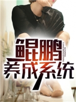 ��������ϵͳ