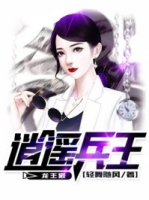 ��ң����������