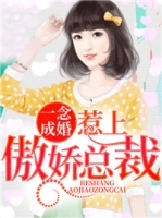 һ��ɻ����ϰ����ܲ�